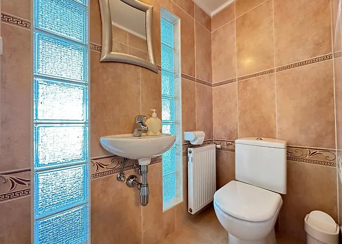 Agi Poncella * Roses